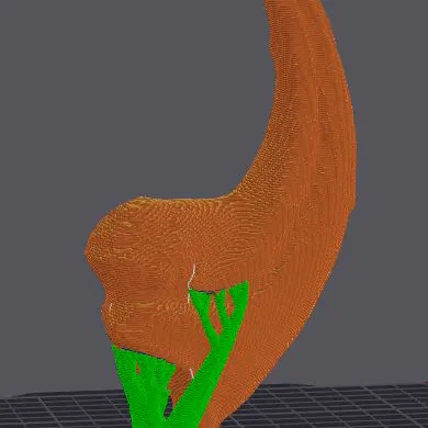 Móng vuốt Allosaurus fragilis (tỉ lệ 1:1)