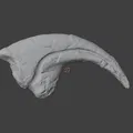 Móng vuốt Allosaurus fragilis (tỉ lệ 1:1) - Thumbnail 4