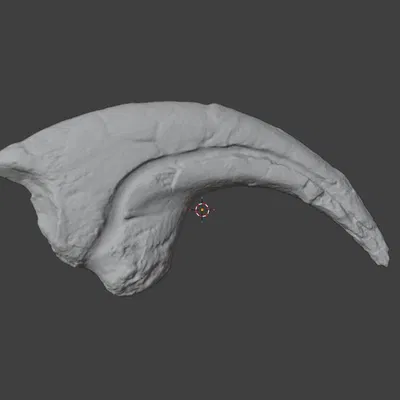 Móng vuốt Allosaurus fragilis (tỉ lệ 1:1)