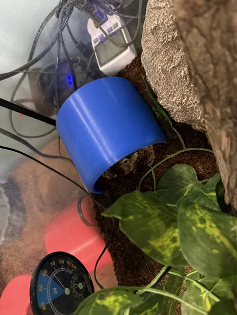 Hang Rắn Kiểu Khúc Gỗ Nửa (Snake Hide - Half Log) - Image 3