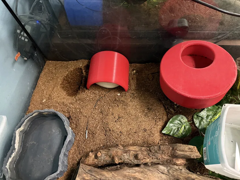 Hang Rắn Kiểu Khúc Gỗ Nửa (Snake Hide - Half Log) - Image 4