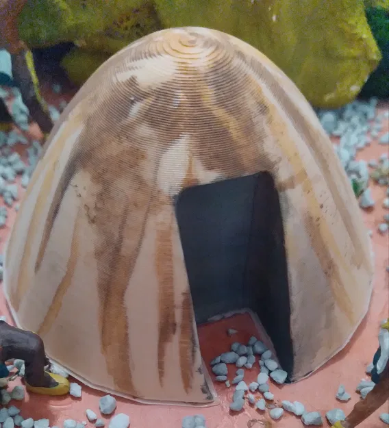 Nhà/Chòi trú ẩn của người bản địa (Indigenous dwelling/shelter) - Image 2