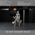 Elven Assasin Mage – DnD Tavern (Miniature D&D) - Thumbnail 1