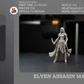 Elven Assasin Mage – DnD Tavern (Miniature D&D) - Thumbnail 2