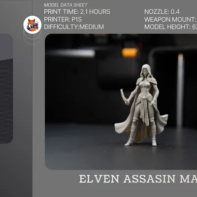 Elven Assasin Mage – DnD Tavern (Miniature D&D)