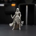 Elven Assasin Mage – DnD Tavern (Miniature D&D) - Thumbnail 6