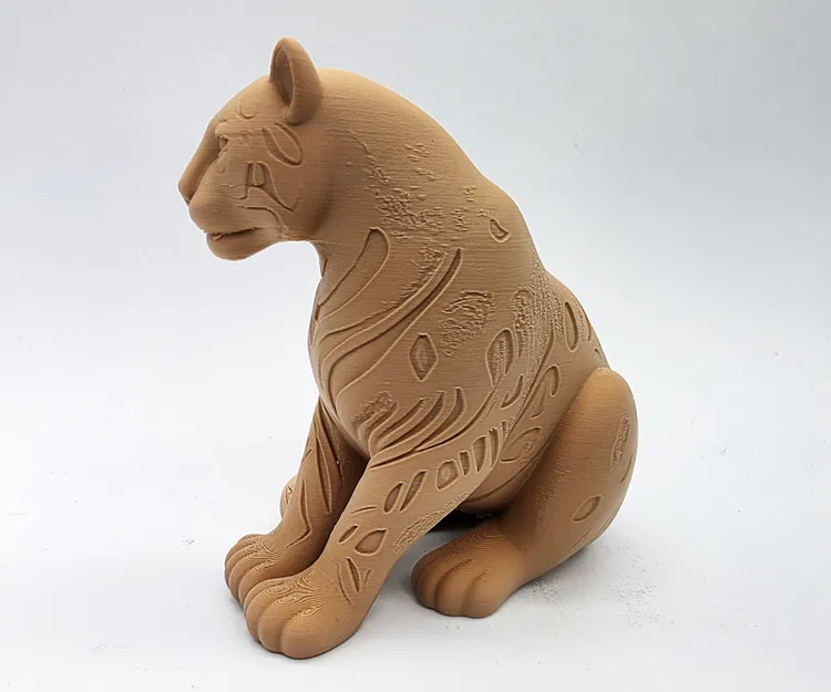 Báo đốm Jaguar - Image 3