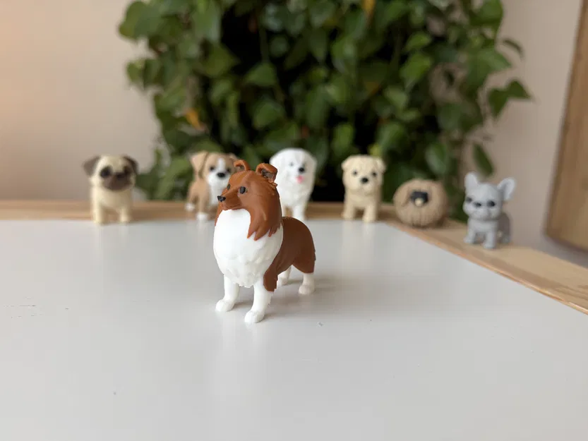 Shetland Sheepdog (Sheltie) – Mẫu 3D chân thực - Image 1