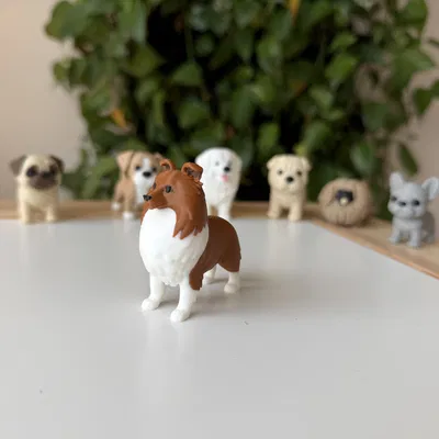 Shetland Sheepdog (Sheltie) – Mẫu 3D chân thực