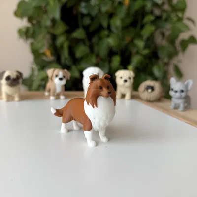 Shetland Sheepdog (Sheltie) – Mẫu 3D chân thực