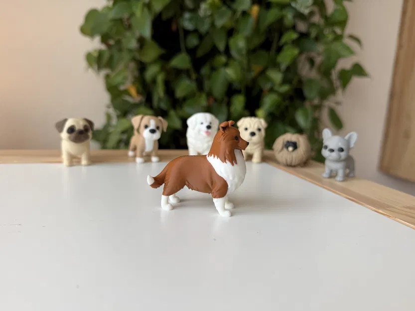 Shetland Sheepdog (Sheltie) – Mẫu 3D chân thực - Image 3