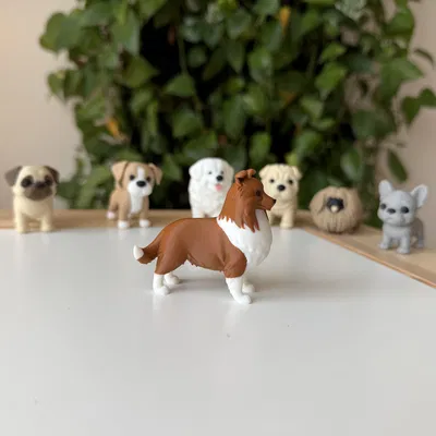 Shetland Sheepdog (Sheltie) – Mẫu 3D chân thực