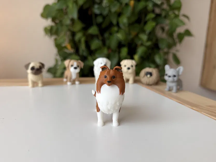 Shetland Sheepdog (Sheltie) – Mẫu 3D chân thực - Image 4