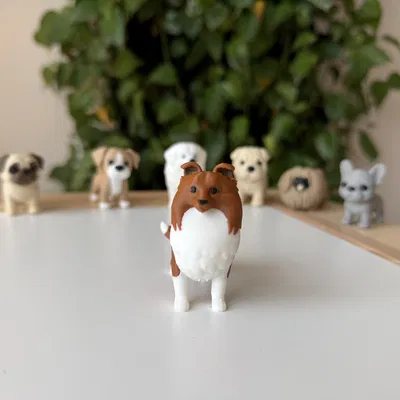 Shetland Sheepdog (Sheltie) – Mẫu 3D chân thực