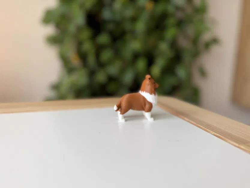 Shetland Sheepdog (Sheltie) – Mẫu 3D chân thực - Image 5