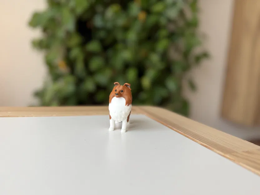 Shetland Sheepdog (Sheltie) – Mẫu 3D chân thực - Image 6