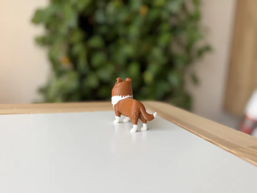 Shetland Sheepdog (Sheltie) – Mẫu 3D chân thực - Image 7