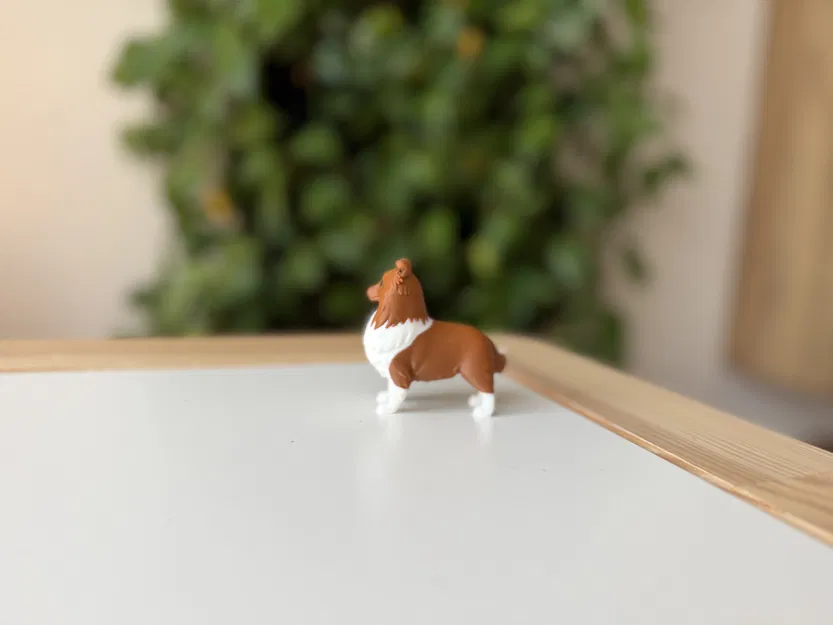 Shetland Sheepdog (Sheltie) – Mẫu 3D chân thực - Image 8