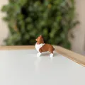 Shetland Sheepdog (Sheltie) – Mẫu 3D chân thực - Thumbnail 8