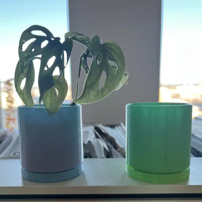 Chậu trồng cây 2 inch kèm dĩa lót