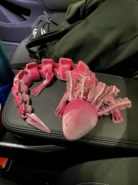 Axolotl Khớp Nối (Articulated) với Mang Lông Mịn (Fuzzy Gills) - Image 3