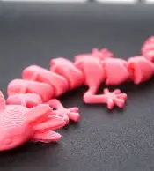 Đồ chơi Axolotl - Image 1