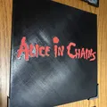 Bìa album Alice in Chains (album cover art) - Thumbnail 3