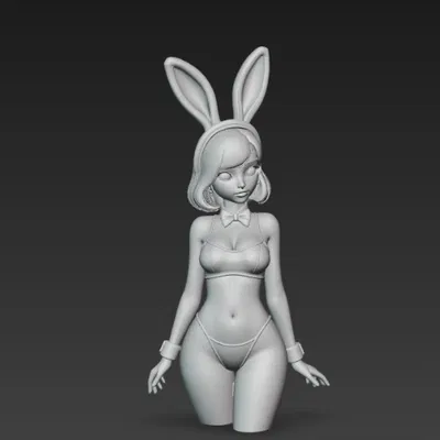 Cô gái sexy trong trang phục thỏ 2