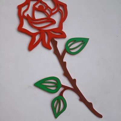Roses (Hoa Hồng)