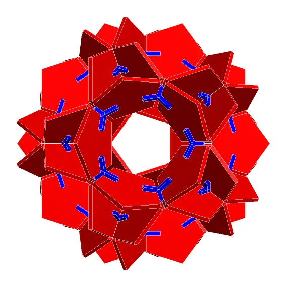 Bộ 90 Chi Tiết: Holden Icosahedral Polysurface - Image 3