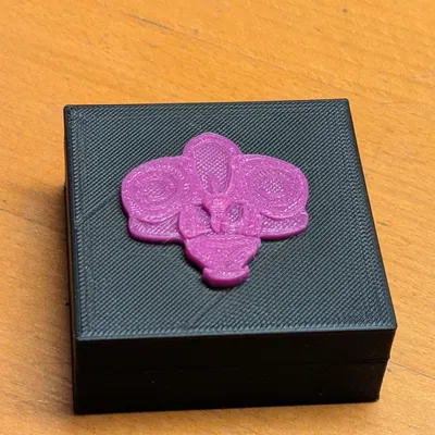 Hộp đựng que phân bón cho lan (Orchid Fertilizer Sticks Box)