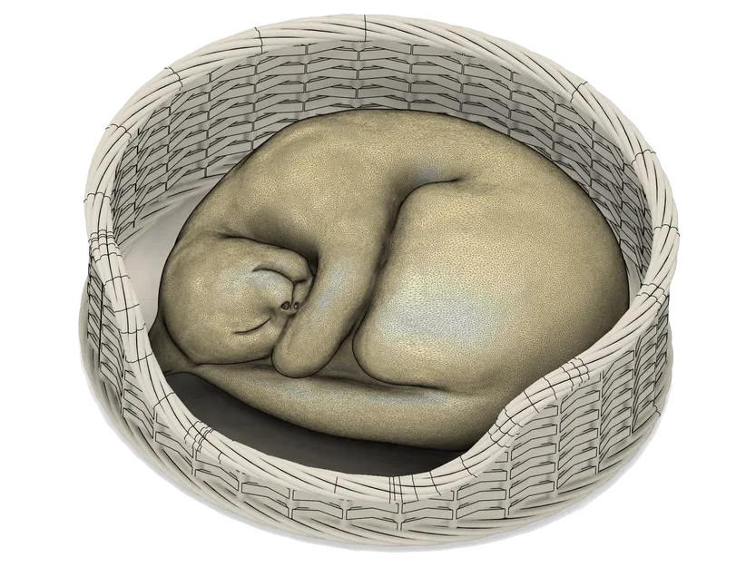 Giỏ Mèo Ngủ (Fusion 360 & không cần supports) - Image 1