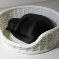 Giỏ Mèo Ngủ (Fusion 360 & không cần supports) - Thumbnail 2