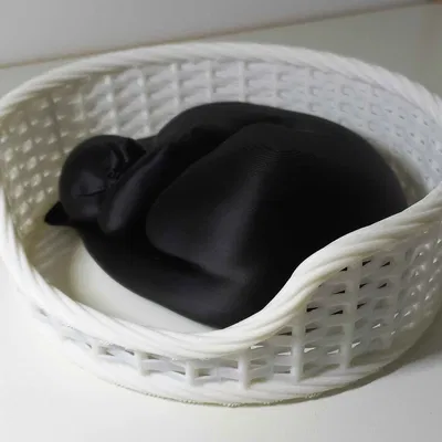 Giỏ Mèo Ngủ (Fusion 360 & không cần supports)