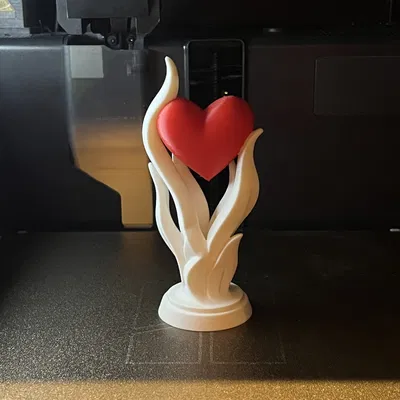 Trái tim Valentine (Valentines day heart)