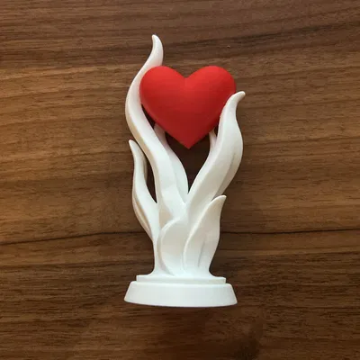 Trái tim Valentine (Valentines day heart)