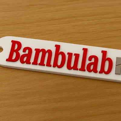 Móc khóa Bambu Lab + logo