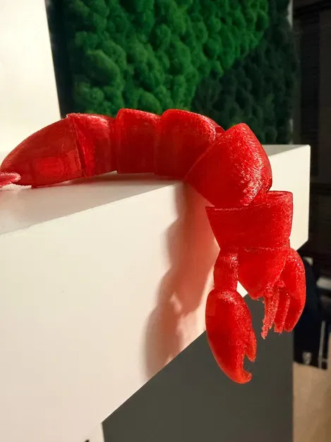 Flex lobster (tôm hùm dẻo uốn cong) - Image 1