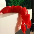 Flex lobster (tôm hùm dẻo uốn cong) - Thumbnail 1