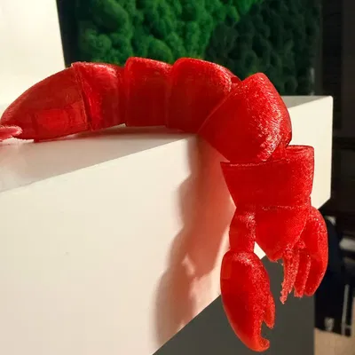 Flex lobster (tôm hùm dẻo uốn cong)