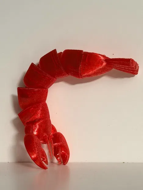 Flex lobster (tôm hùm dẻo uốn cong) - Image 3