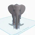 Voi (Elephant) – Mô hình 3D - Thumbnail 2