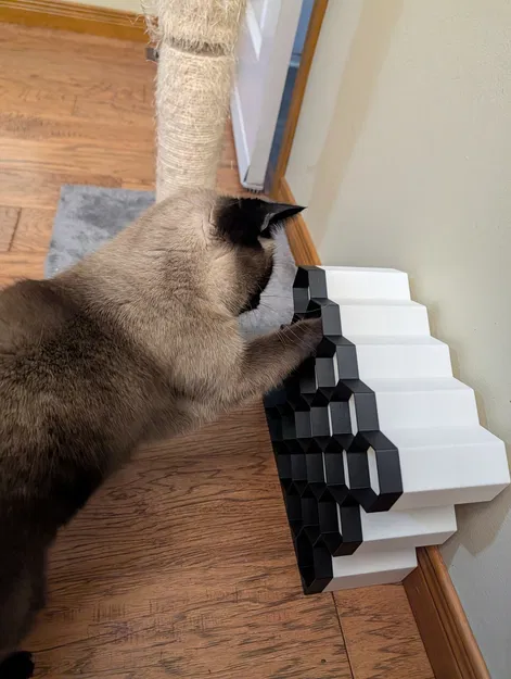 Câu đố lấy snack cho mèo (Cat Treat Puzzle) - Image 1