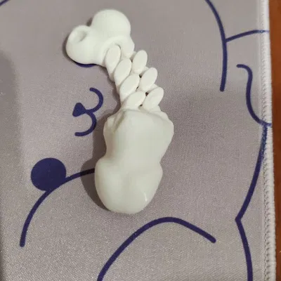 Đồ chơi dây xích flexi dick (flexi dick toy/chain)