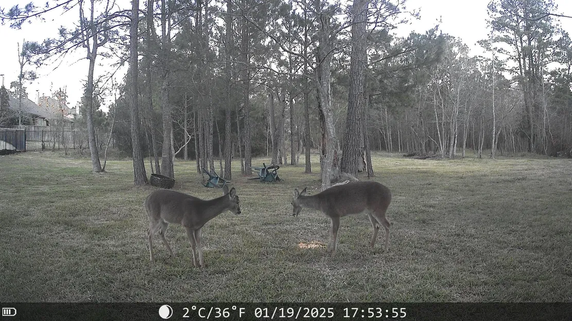 Nhiều thanh kiếm bút chì (Multi Pencil Swords) - Image 1