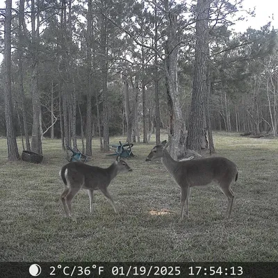 Multi Pencils – Bút chì đa năng