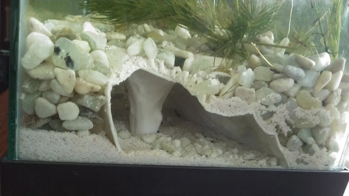 Hang Động Hồ Cá Remix - Bản Lỗ Thoát Cho Ốc (Aquarium Cave 1 Remix) - Image 1