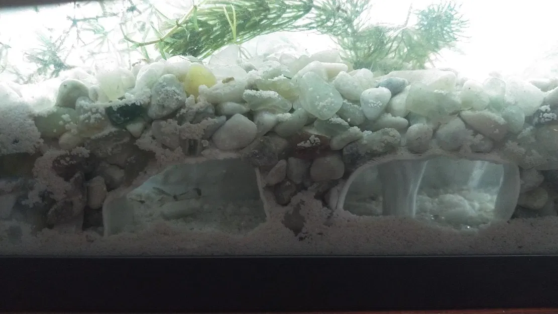 Hang Động Hồ Cá Remix - Bản Lỗ Thoát Cho Ốc (Aquarium Cave 1 Remix) - Image 2