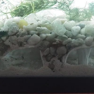 Hang Động Hồ Cá Remix - Bản Lỗ Thoát Cho Ốc (Aquarium Cave 1 Remix)