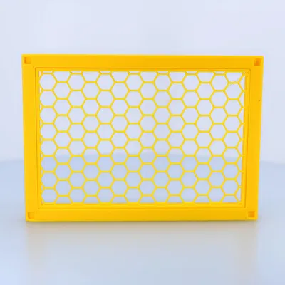 Khung ảnh Parametric + Piny